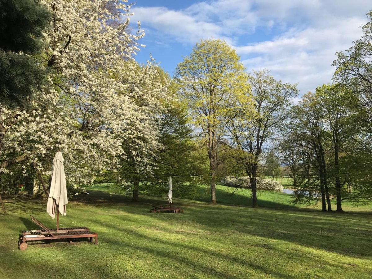 Dwor Dawidy Bed and Breakfast Mlynary Exteriör bild